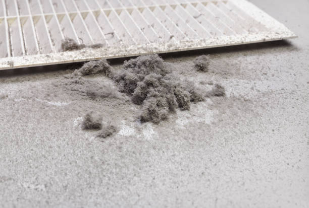 Best Affordable Duct Cleaning Services  in Okawvle, IL
