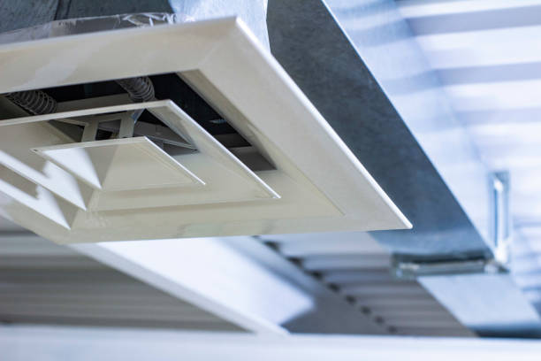 Best Affordable HVAC Duct Cleaning  in Okawvle, IL