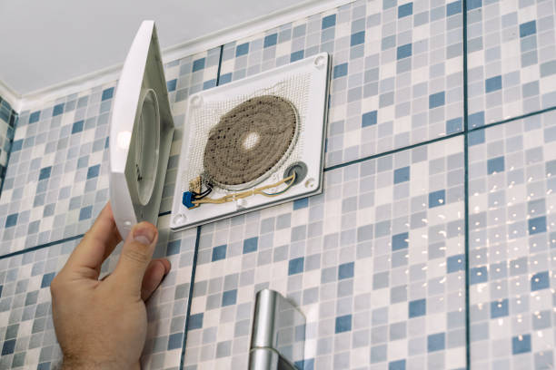 Best Local Air Duct Cleaning Services  in Okawvle, IL