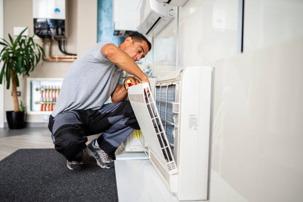 Best Air Duct Mold Removal  in Okawvle, IL