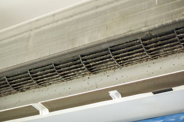 Best Ductwork Cleaning Services  in Okawvle, IL