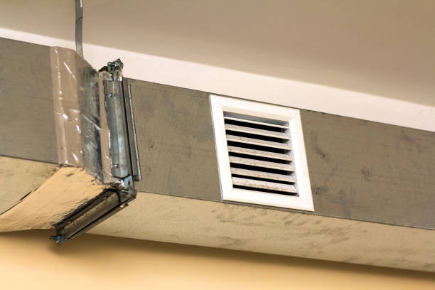 Air Duct Mold Removal in Okawville, IL